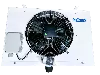 Belluna U310